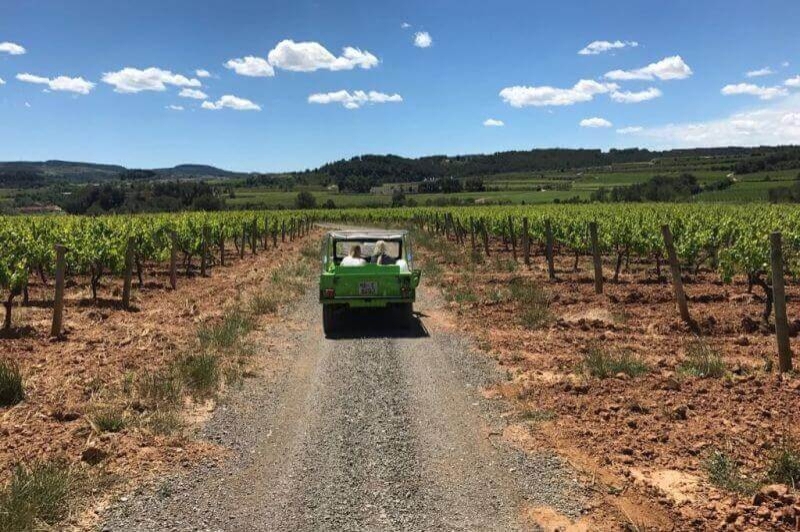 Bodegues Sumarroca (Vinyes)