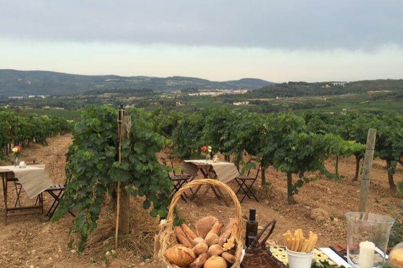 Bodegues Sumarroca (Gastronomia)