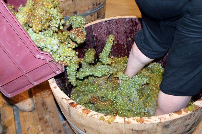 Bodegues Sumarroca (Verema Del Cava)