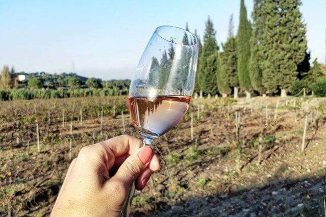 Bodegues Sumarroca (Tast)