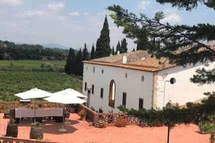 Bodegues Sumarroca (Visitas 4)