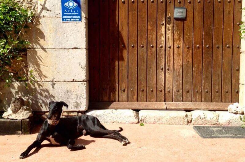 Mas Torrencito (Entrada)