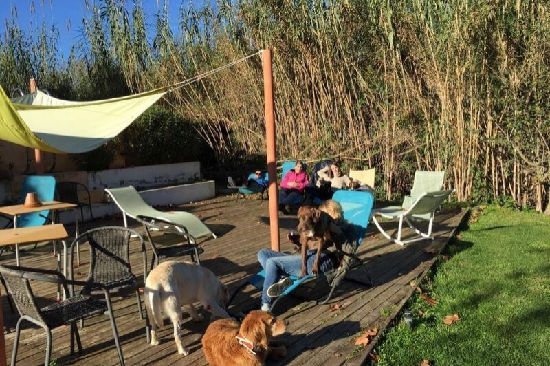 Mas Torrencito (Pati)