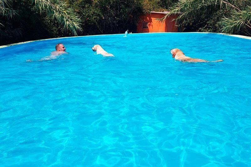 Mas Torrencito (Piscina)