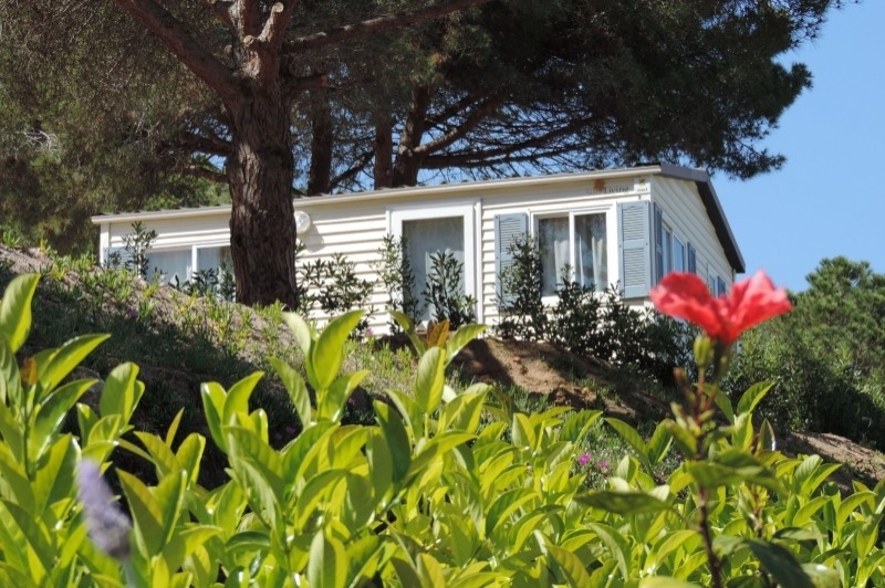 Càmping el Carlitos (Bungalow 4)