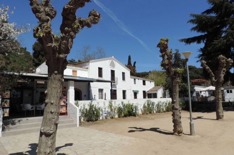 Càmping el Carlitos (Serveis )