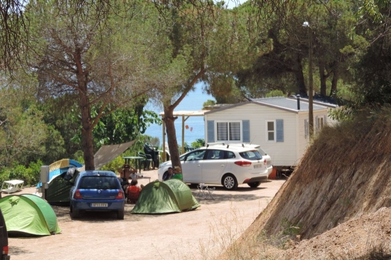 Càmping el Carlitos (Espai De Tendes)