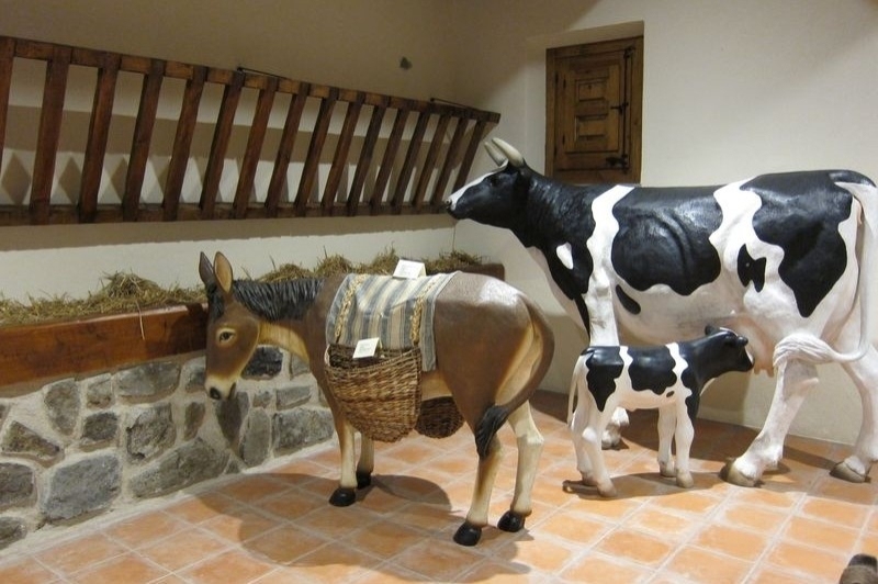 Museu de la Pagesia de Fogars de la Selva (Animals)