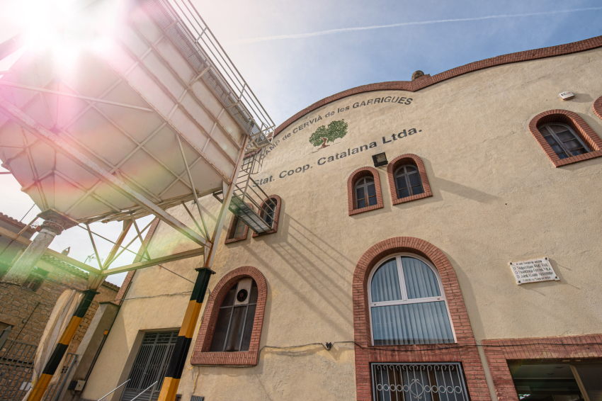 Camp de Cervià de les Garrigues ( Cooperativa Cervia)