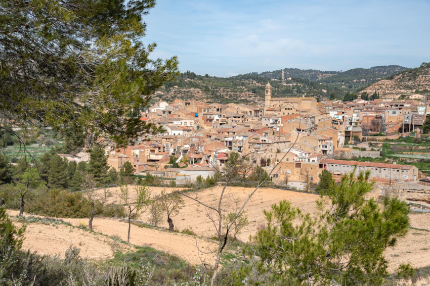 Camp de Cervià de les Garrigues ( Cooperativa Cervia)