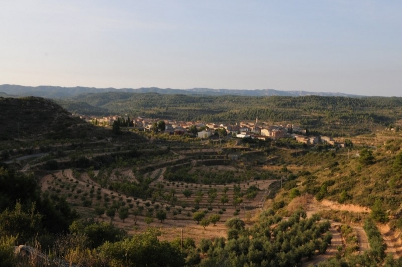 Camp de Cervià de les Garrigues (Vistes)