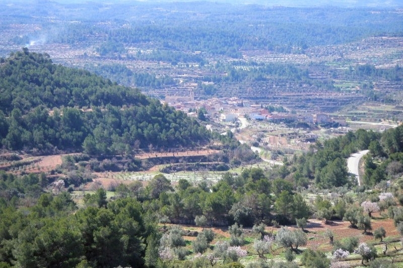 Camp de Cervià de les Garrigues (Cervia)