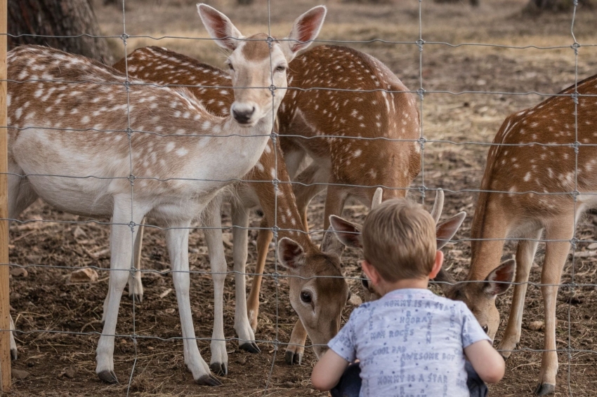 Parc Samà (Parc Sama)