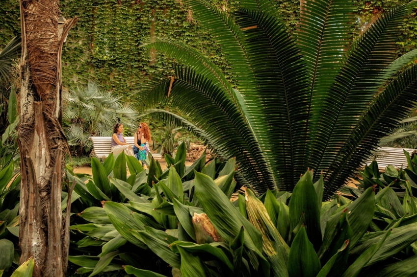 Parc Samà (Parc Sama)