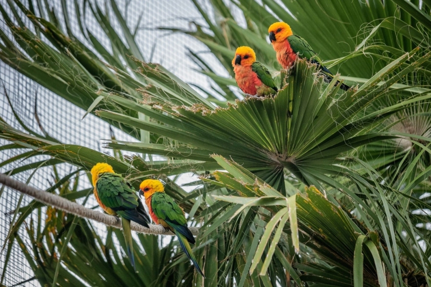 Parc Samà (Parc Sama)