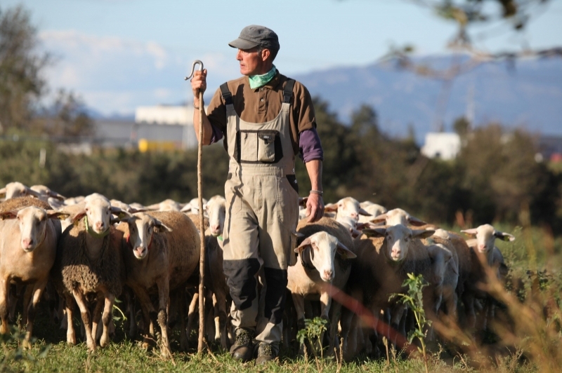 Peralada Mas Marcè (Pasturant)