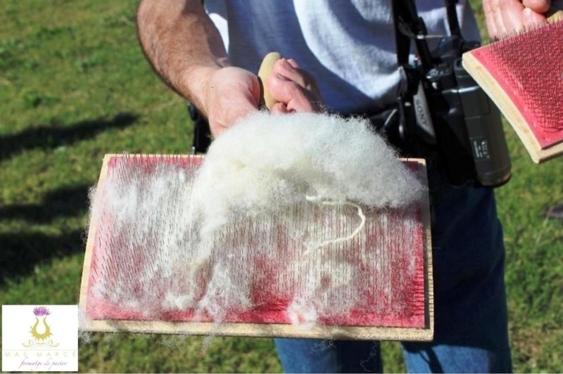 Peralada Mas Marcè (Peralada Mas Marce)