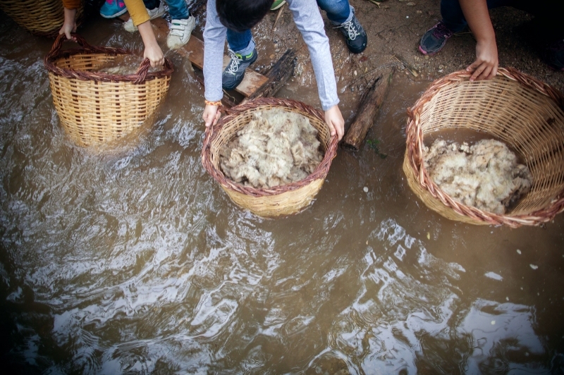 Peralada Mas Marcè (Esquilada)