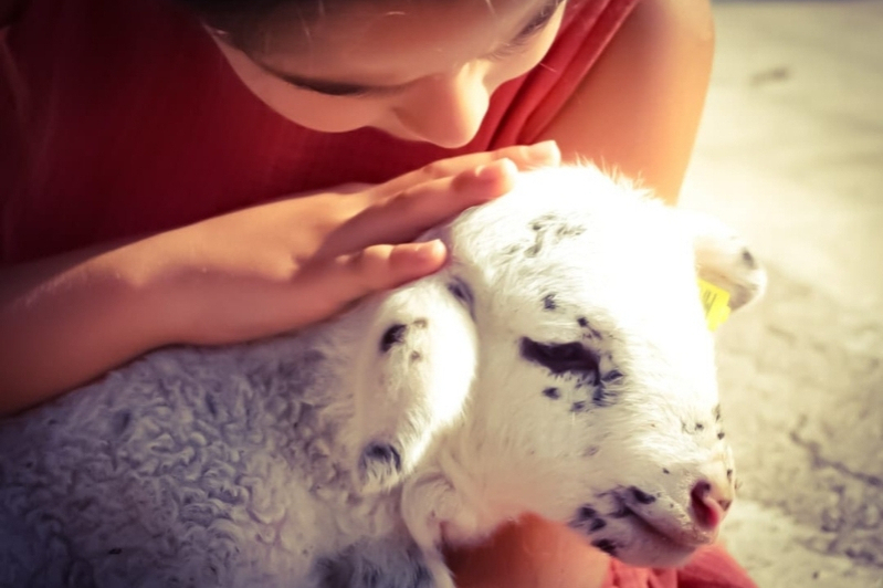 Peralada Mas Marcè (00 Peralada Mas Marce)