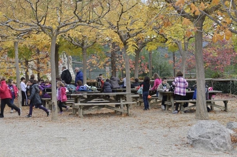 Cim dÀligues (Picnic Bar)