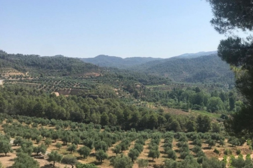 Cooperativa de Cabacés (Cooperativa De Cabaces)