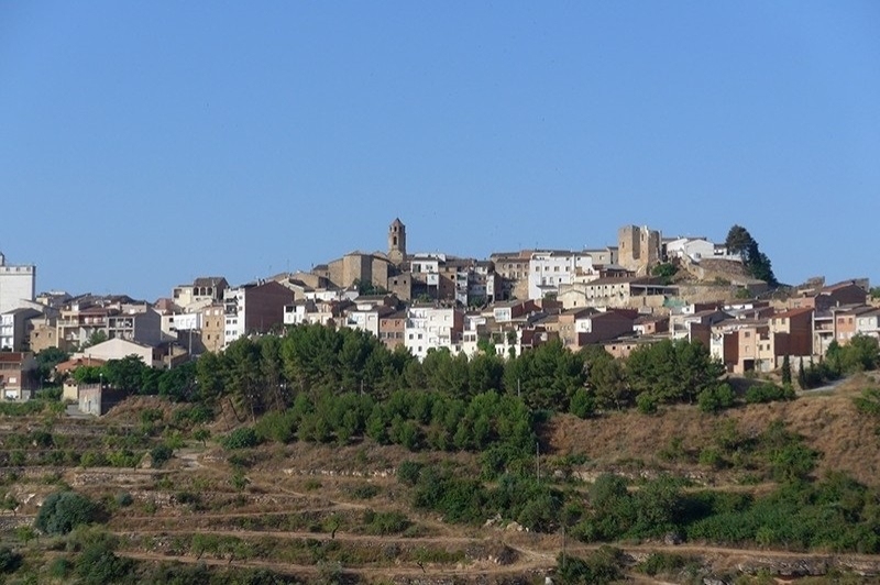 Cooperativa la Fraternal de lAlbagés (Entorn)