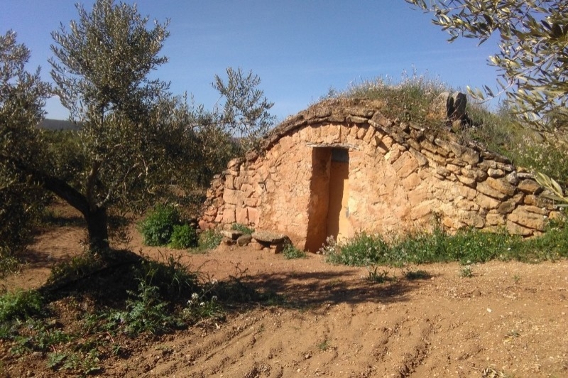 Cooperativa la Fraternal de lAlbagés (Barraca)