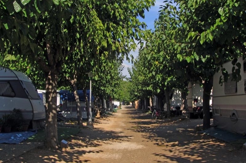 Càmping Trillas Spa Tamarit (Camping)