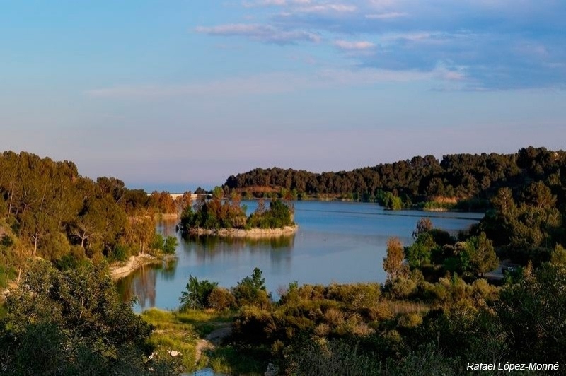 Muntanyes de la Costa Daurada (Embassament De Riudecanyes)