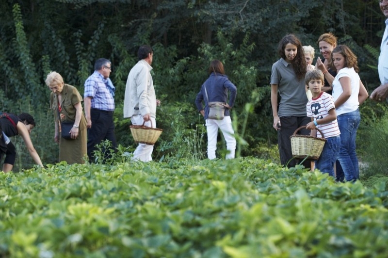 Món Sant Benet (Hort)