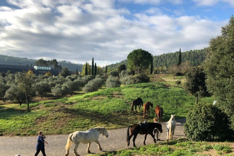 Món Sant Benet (Mon Sant Benet)