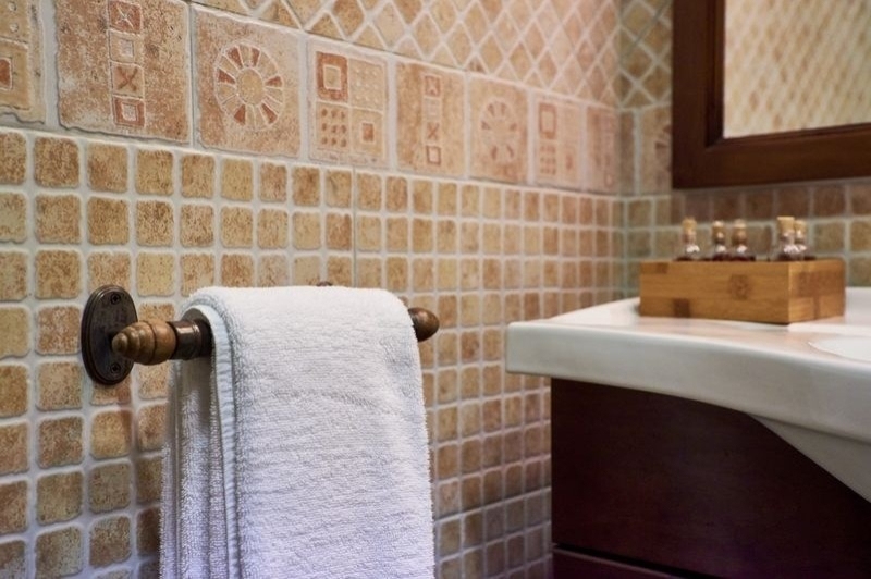 Masia Cal Mestre (Bany)