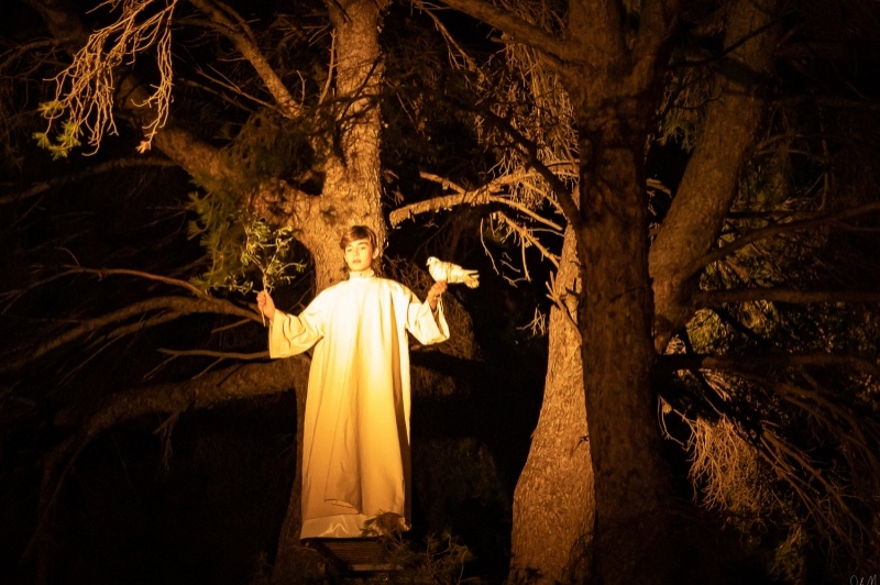 Pessebre Vivent Pobla de Montornès (Pessebre Vivent Pobla De Montornes)