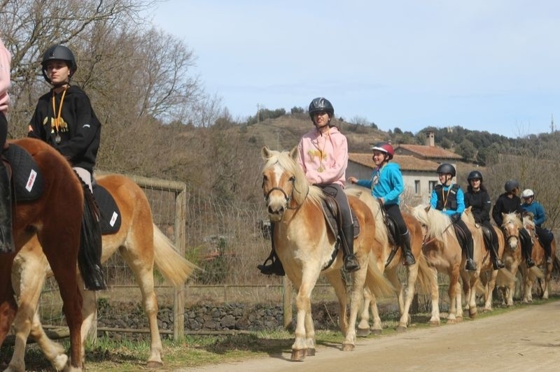 Granja de cavalls i ponis, eQuillet (Passejada)