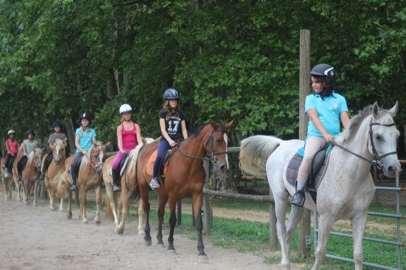 Granja de cavalls i ponis, eQuillet (Sortida)