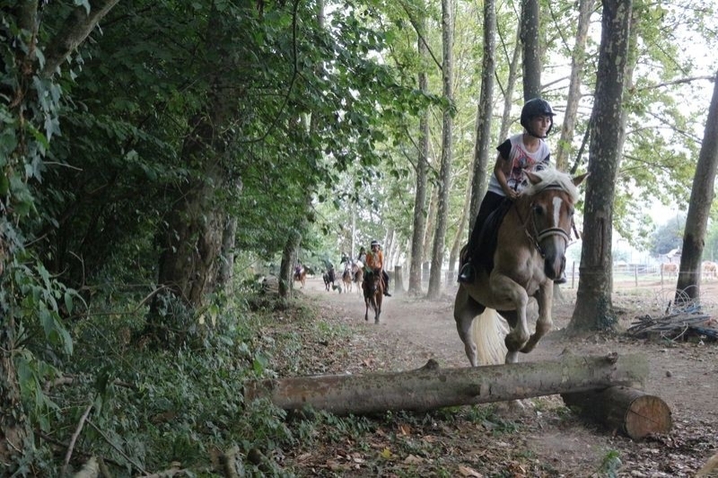 Granja de cavalls i ponis, eQuillet (Salt)