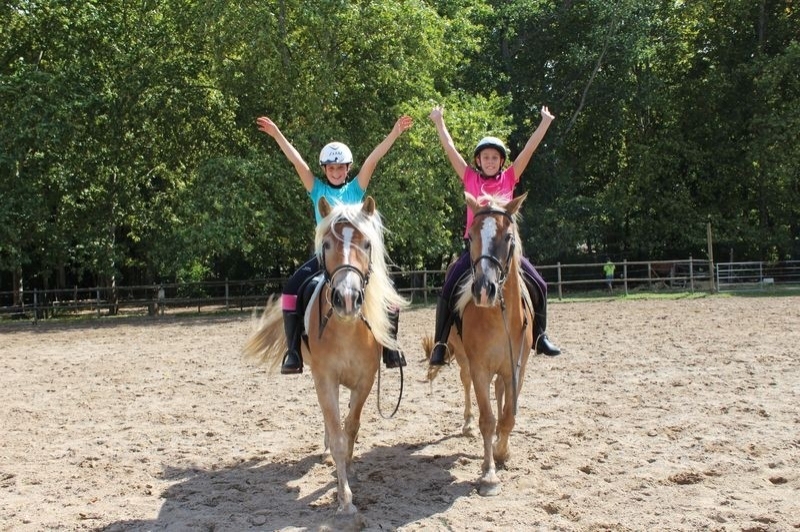 Granja de cavalls i ponis, eQuillet (Classe)