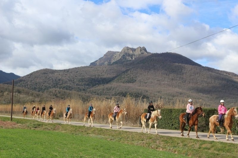 Granja de cavalls i ponis, eQuillet (Sortida)