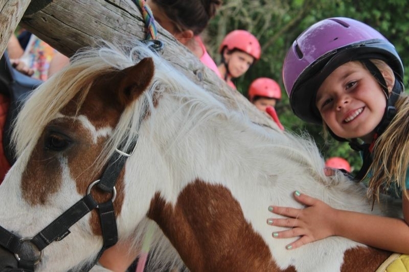 Granja de cavalls i ponis, eQuillet (Classe)