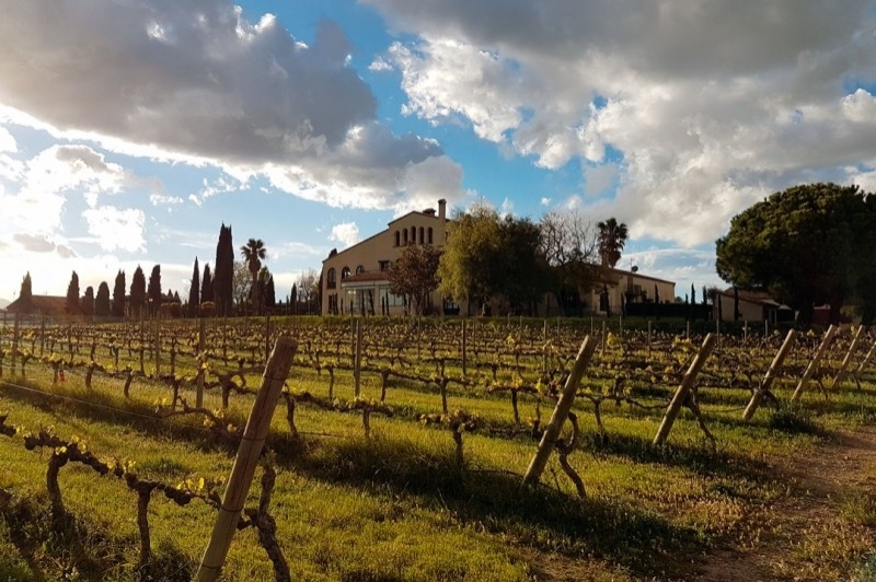 LOrangerie de Clos Barenys (Exteriors)