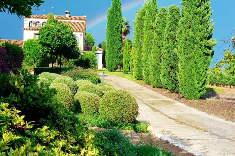 LOrangerie de Clos Barenys (Facana)