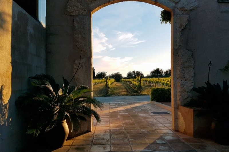 LOrangerie de Clos Barenys (Exteriors)