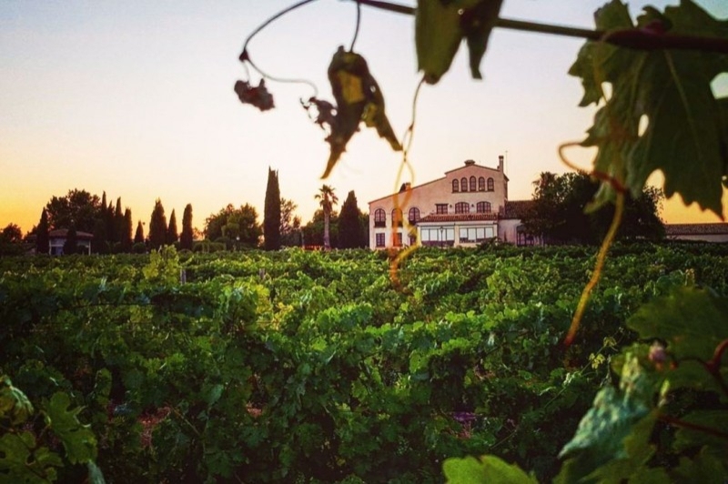 LOrangerie de Clos Barenys (Vistes)