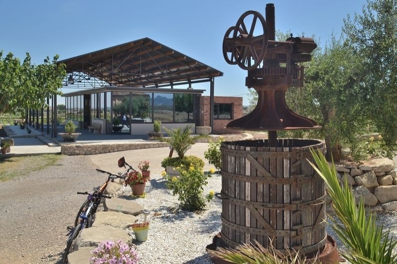 Vinya els Vilars (Exteriors)