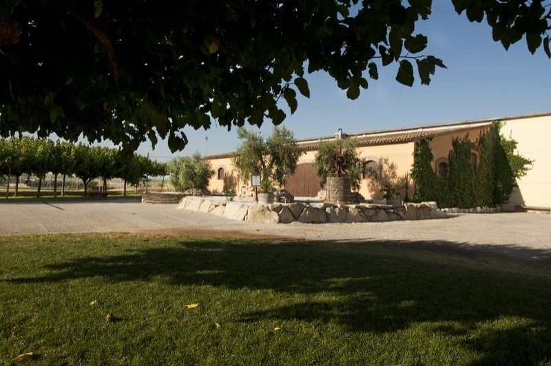 Vinya els Vilars (Celler)