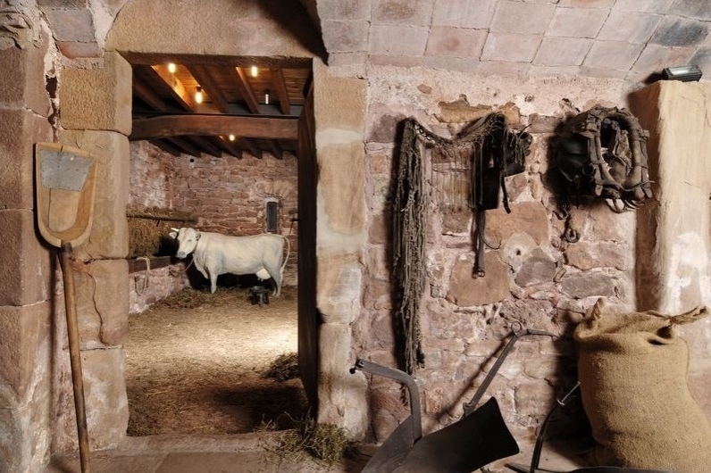 La Calma, el Bellver (Animals)