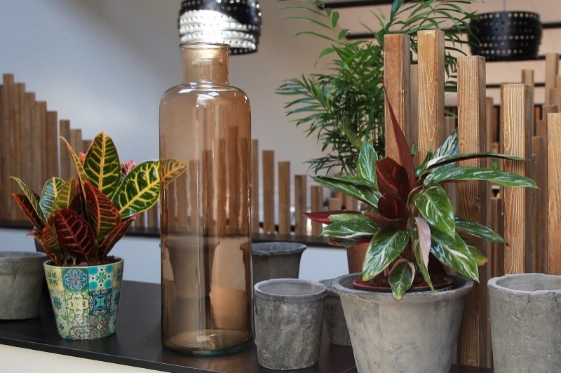 Hotel Cims de Camprodon (Detalls)