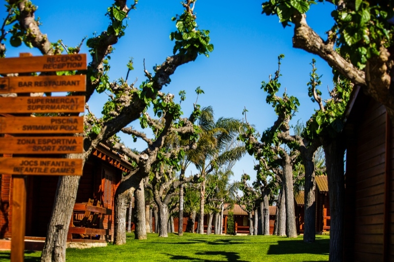 Càmping La Llosa (Camping La Llosa)