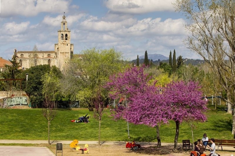 Viles Florides (Principal)