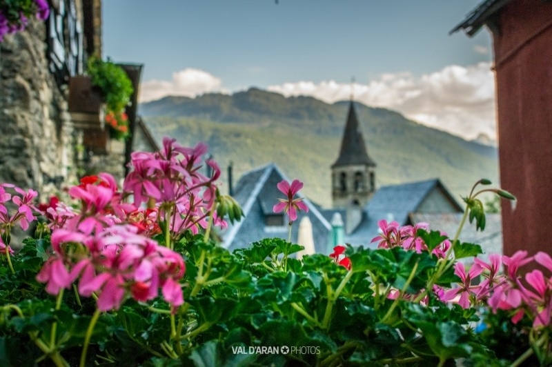 Viles Florides (Val Daran)